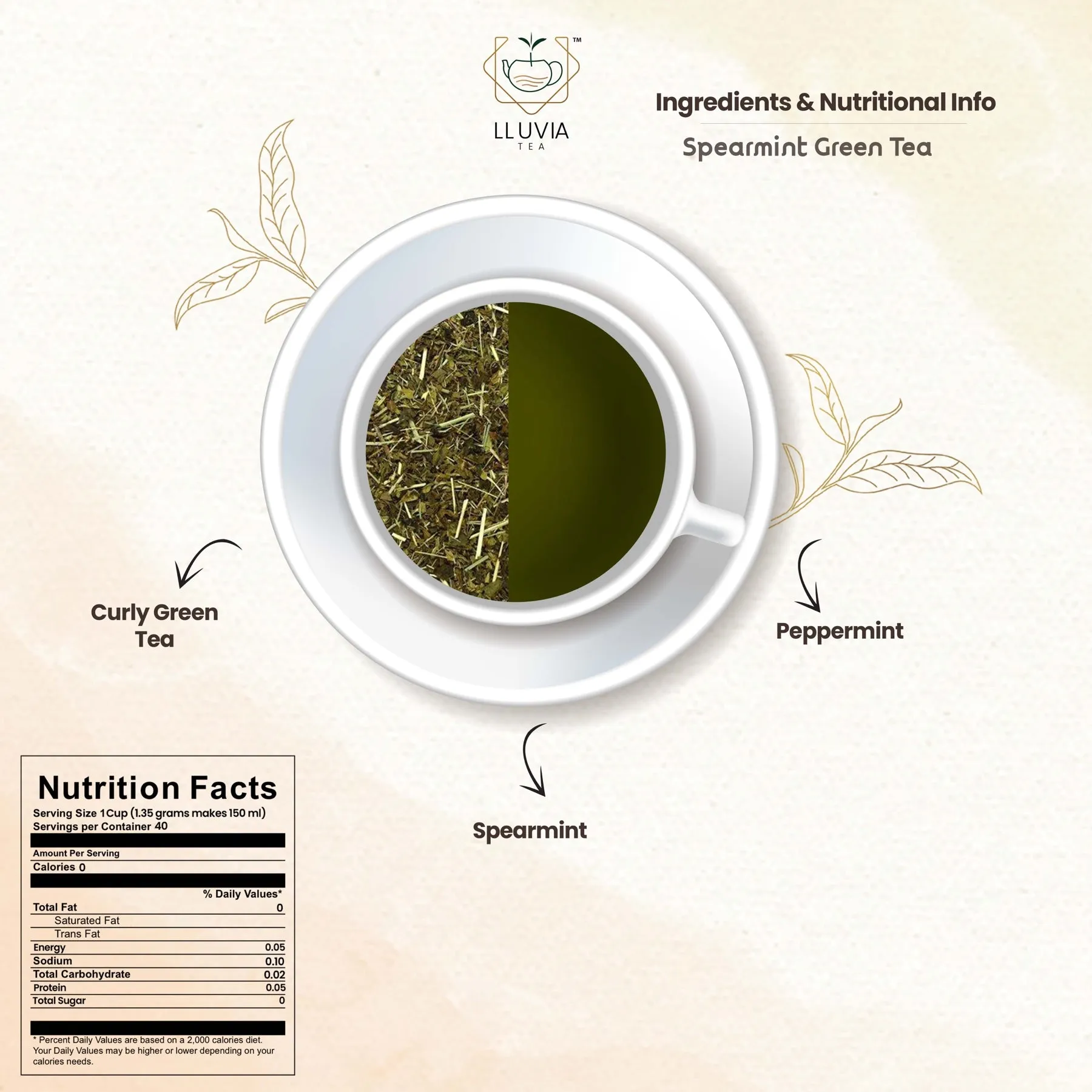 Spearmint Green Tea- Balance Hormones & Improve Digestion- 50g